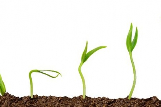 The Evolution of Assisted Reproduction