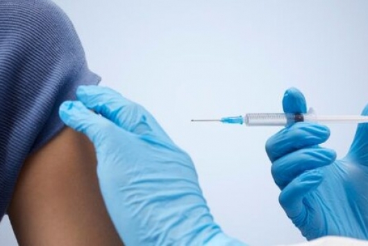 Reproductive Immunology: Understanding the Invisible Processes That Shape Fertility