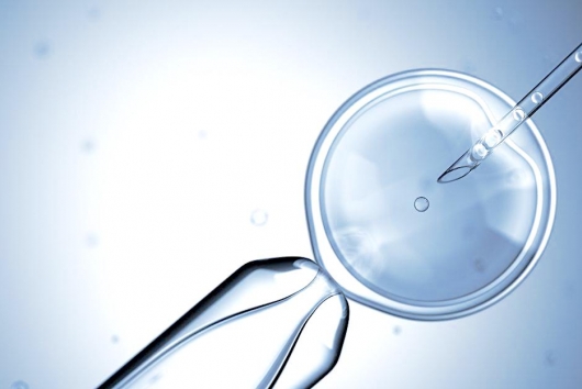 IVF treatment: Basic recap overview
