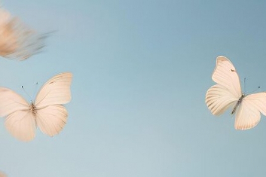 Oncofertility: When Time and the Future Are at Stake