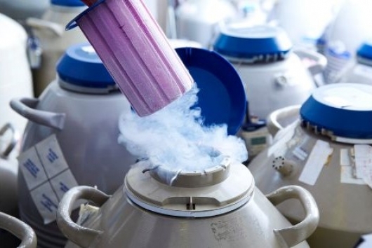 Egg freezing: a growing trend that gives women freedom and security