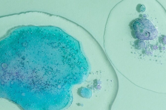 7 Things You May Not Know About Embryo Transport