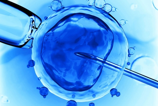 El proceso de extracción y congelación de células reproductoras 