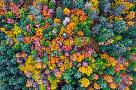 Journée mondiale de la ménopause – Ce que cela signifie pour les femmes qui envisagent de fonder une famille