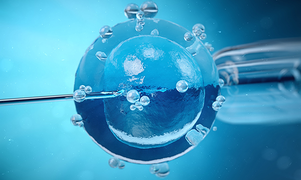 Cryopreservation for IVF