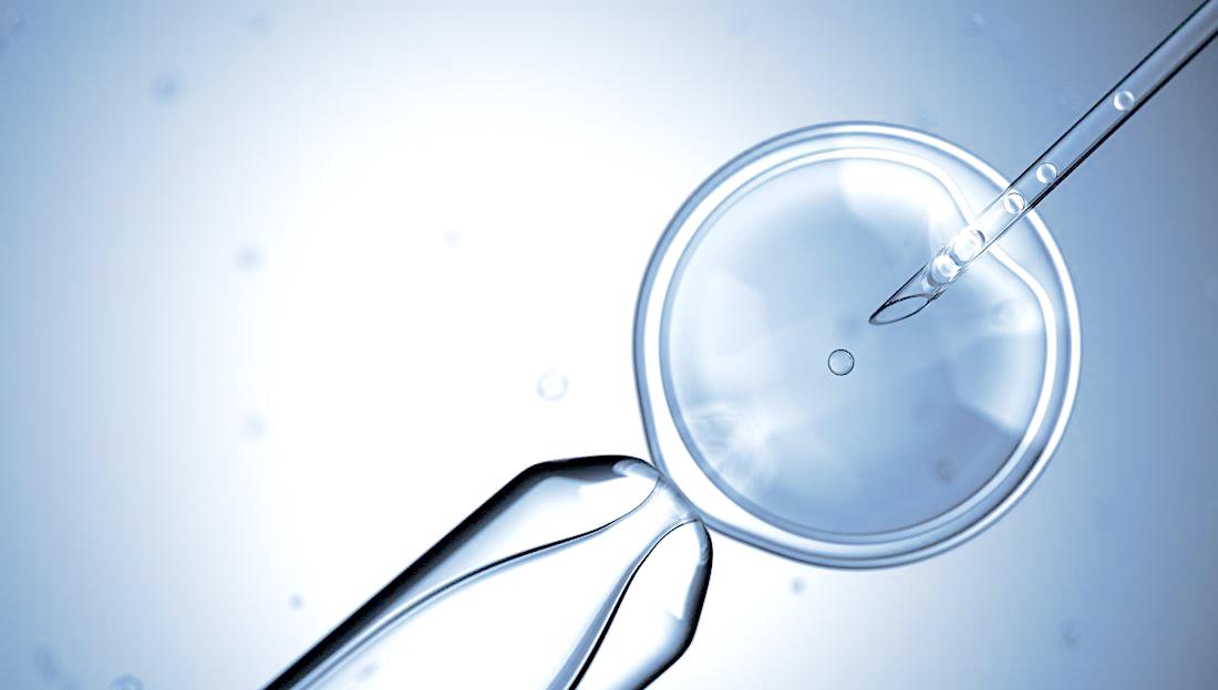 IVF basic facts